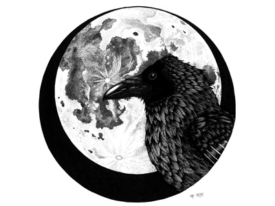 Raven black drawing hand drawn illustration monochrome moon nature night raven