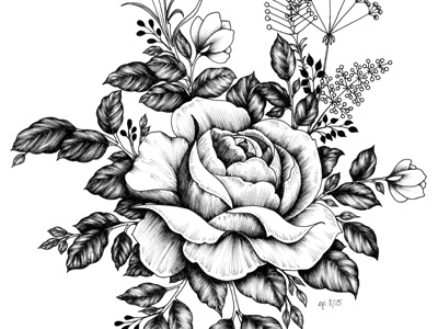 Rose black drawing drawn floral flowers hand illustration monochrome nature rose