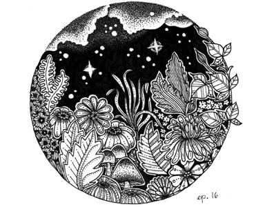Night black drawing flowers hand drawn illustration leaves monochrome nature night stars