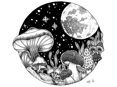 Magic Mushrooms black drawing hand drawn illustration monochrome mushrooms nature night stars