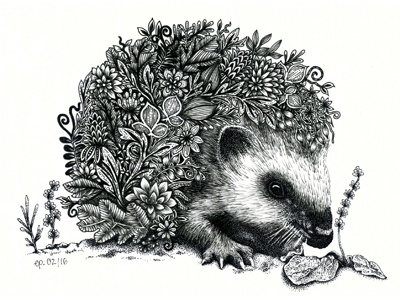 Hedgehog animal black drawing flora floral flowers hedgehog illustration monochrome