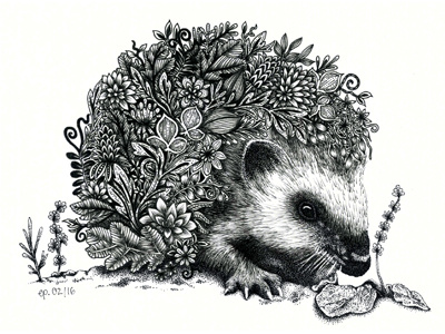 Hedgehog