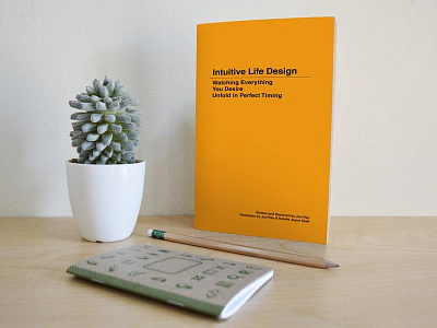 Intuitive Life Design • Cover Art book cover orange typography