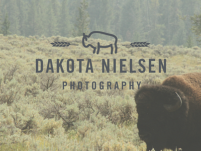 DAKOTA NIELSEN branding logo minimalism