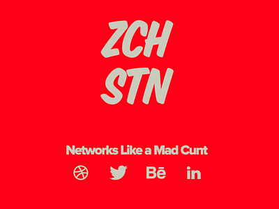 ZCHSTN 2016 branding collateral identity marketing