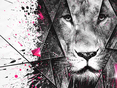 Lion abstract africa lion wallpaper