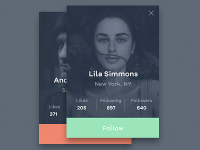 Daily UI - User Profile