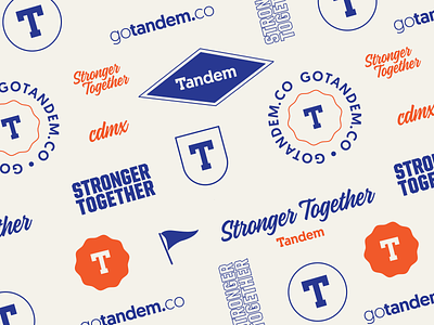 Brand Elements badge blue branding design icon icons illustration illustrator logo pattern stamp typography