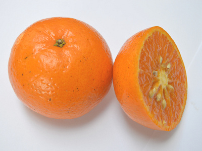 An orange and its slice background design illustration orange white