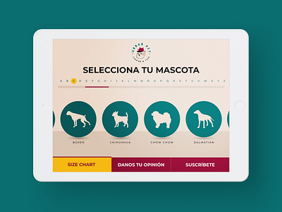 Urban Pet Tablet APP app design minimal pet tablet app ui ui design vector