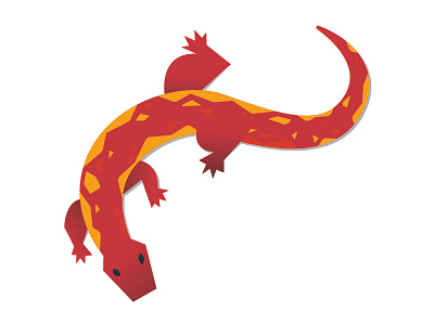 Salamander salamander