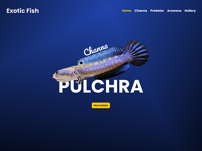 Web Design Landing Page Exotic Fish design graphic design illustration typography ui ux