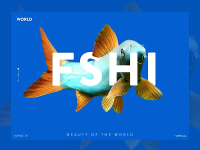 Fish banner