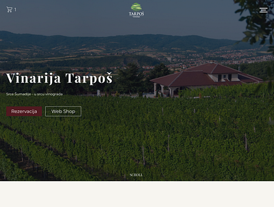 Home page redesign - Tarpoš adobe photoshop figma web design