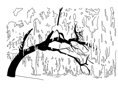 Weeping Willow black and white commission design illustration sketch tattoo