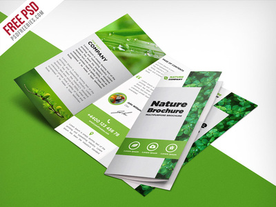 triple fold brochure template