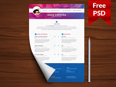 Professional Resume CV Template Free PSD cv cv template download free free psd freebie print psd resume resume psd resume template template