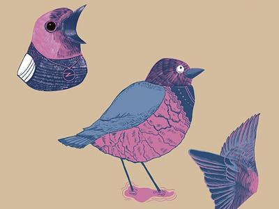 Bird Neighbour branding graphic design illustration