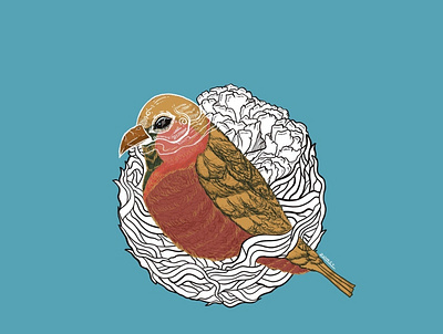 Birdkeleton branding design graphic design illustration