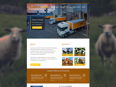 United Feeds clean countryside farm fresh homepage minimal northern ireland simple ui ux web web design