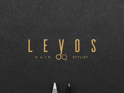 LEYOS hair stylist logo tuandian