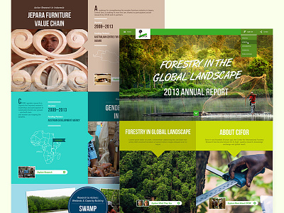 Digital Annual Report (Final Version) annual report digital forest home infographic landscape map non profit percentage report research web