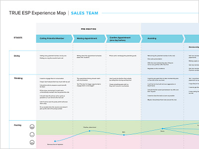 True ESP Experience Map: Sales Team analysis chart experience map feeling flow journey map persona research stages ux
