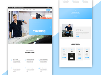CAR WASHING COMPANY LANDING PAGE