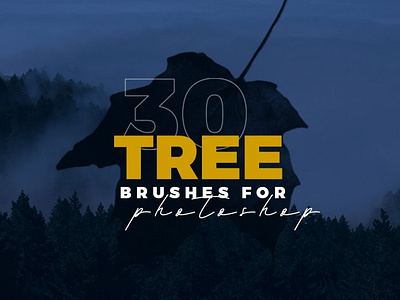 Realistic Tree Photoshop Brushes