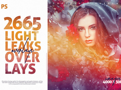 2665 Light Leaks Photo Overlays