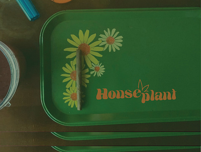 Houseplant rebrand ads branding design graphic design illustration logo packaging photography rebrand typography