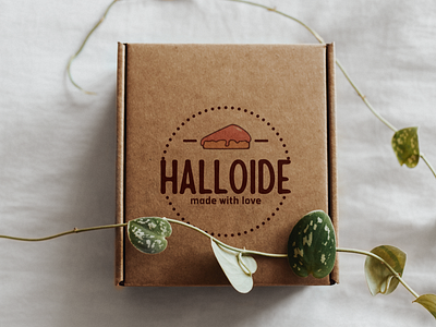 Halloide branding Project ( Bakery Company) bakery branding branding design graphic design logo packag