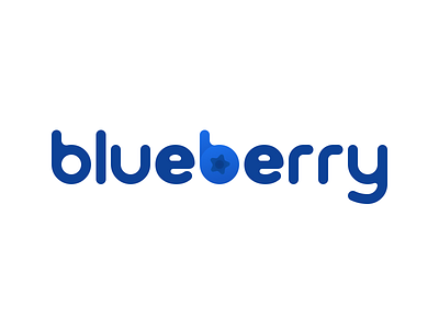 Blueberry branding design flat icon illustration logo minimal typography vector