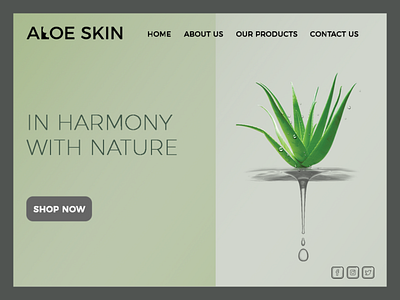 Aloe Skin- cosmetic brand website branding design illustration logo typography ui