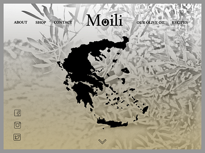 Moili- olive oil brand-website branding design illustration logo typography ui