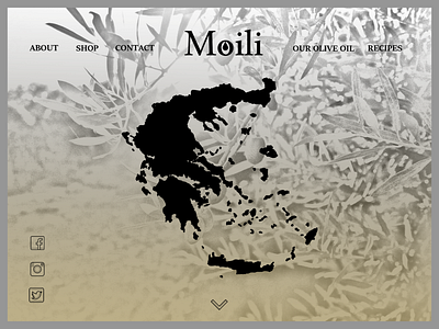 Moili- olive oil brand-website