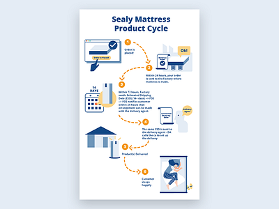 Sealy Mattress Product Cycle Illustration digital illustration flat illustration illustration illustration art illustrator infographic mattress product cycle sealy
