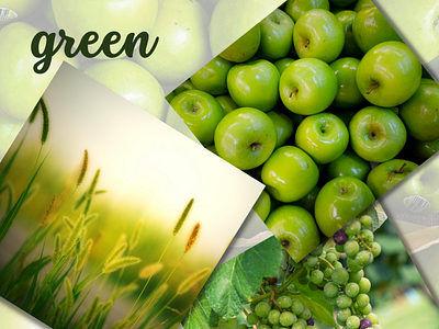 GREENIES 1 aesthetic canva graphic design green minimal mood moodboard