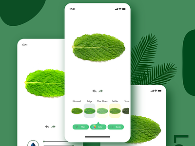 Photo Editor editor filter green image editor leaf mobile mobile apps mobileapp photo photo editor ridwanhanafi simple ui uiux white