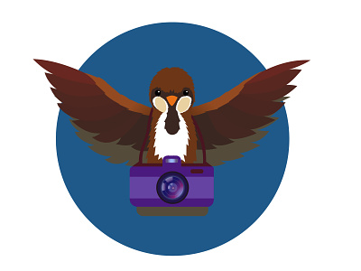 Sparrow animation branding design graphic design illustration portraite vector