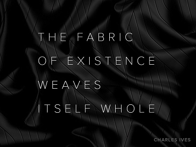 Our Social Fabric charles ives collective consciousness fabric human race humans living poster quote society weave whole