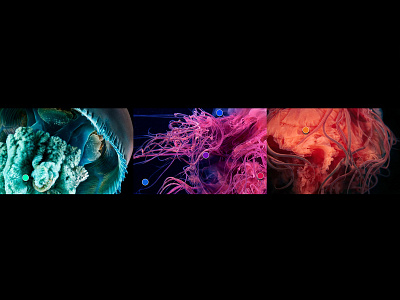 Medusa Design System / Inspiration jellyfish
