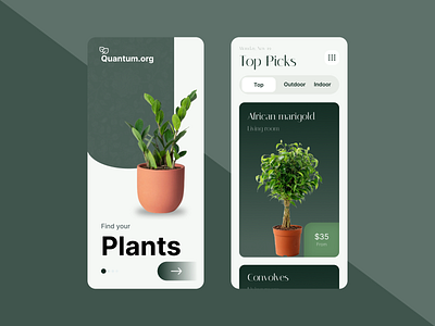 Quantum.org - Plants Shop app design ui app design ux best design 2022 colors design flowers fonts graphic design illustration mobile app mobile design plants shop ui ui app design ui design ui designs ux ux designing ux designs