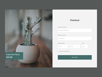 Daily UI #002 - Credit card checkout