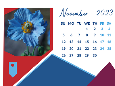 Calendar Design blue flower branding calendar design design graphic design illustration logo typography ui ux vector