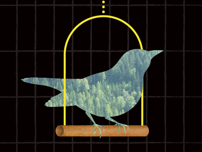 The Birdcage bird cage illustration vector