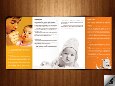 Babies First Food - Trifold Brochure