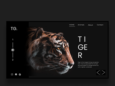 Tiger Website Design Inspiration design figma photoshop uiux ux webdesign website
