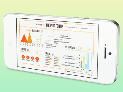 Final resume charts graphic design infographics keynote resume soft