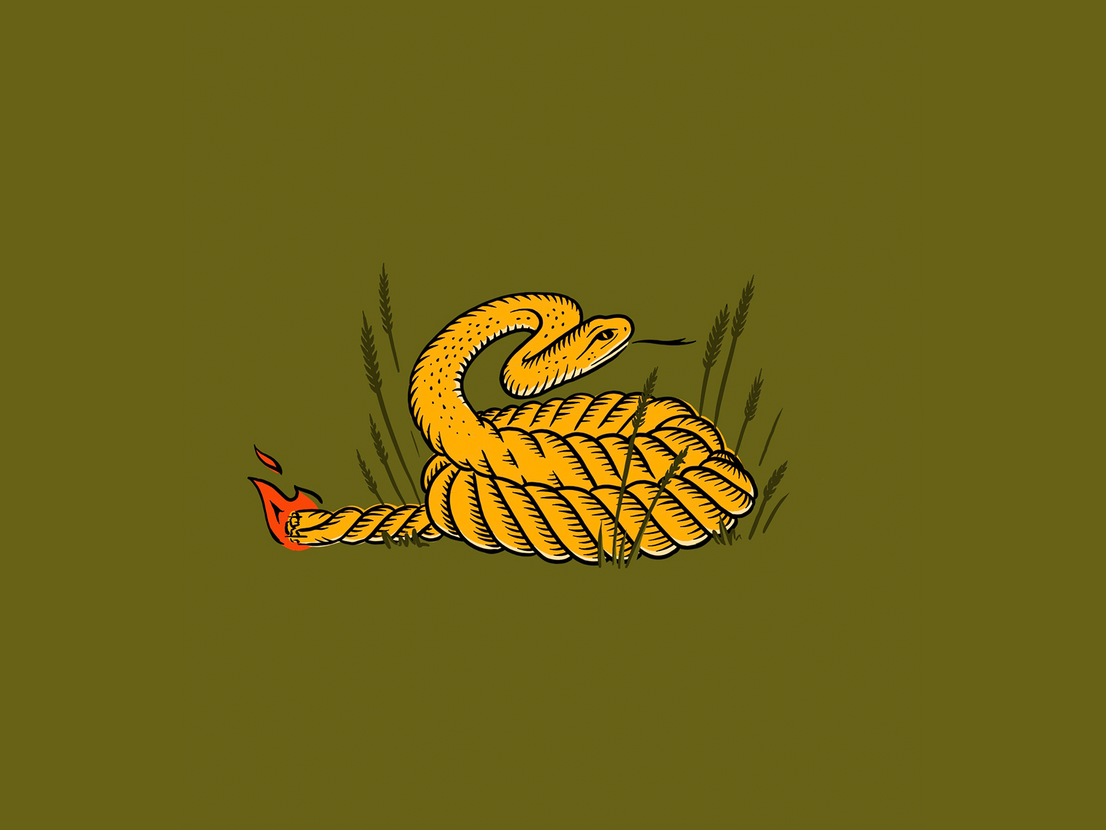 Snake Rope fuse flame snake illustration procreate